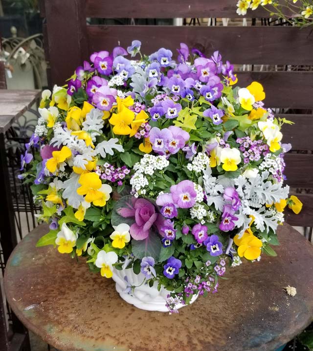 実際のお教室例